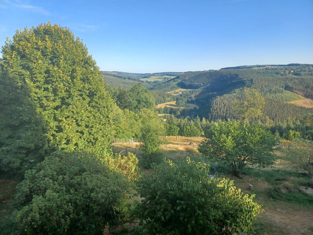 Cheminer en conscience et à son rythme