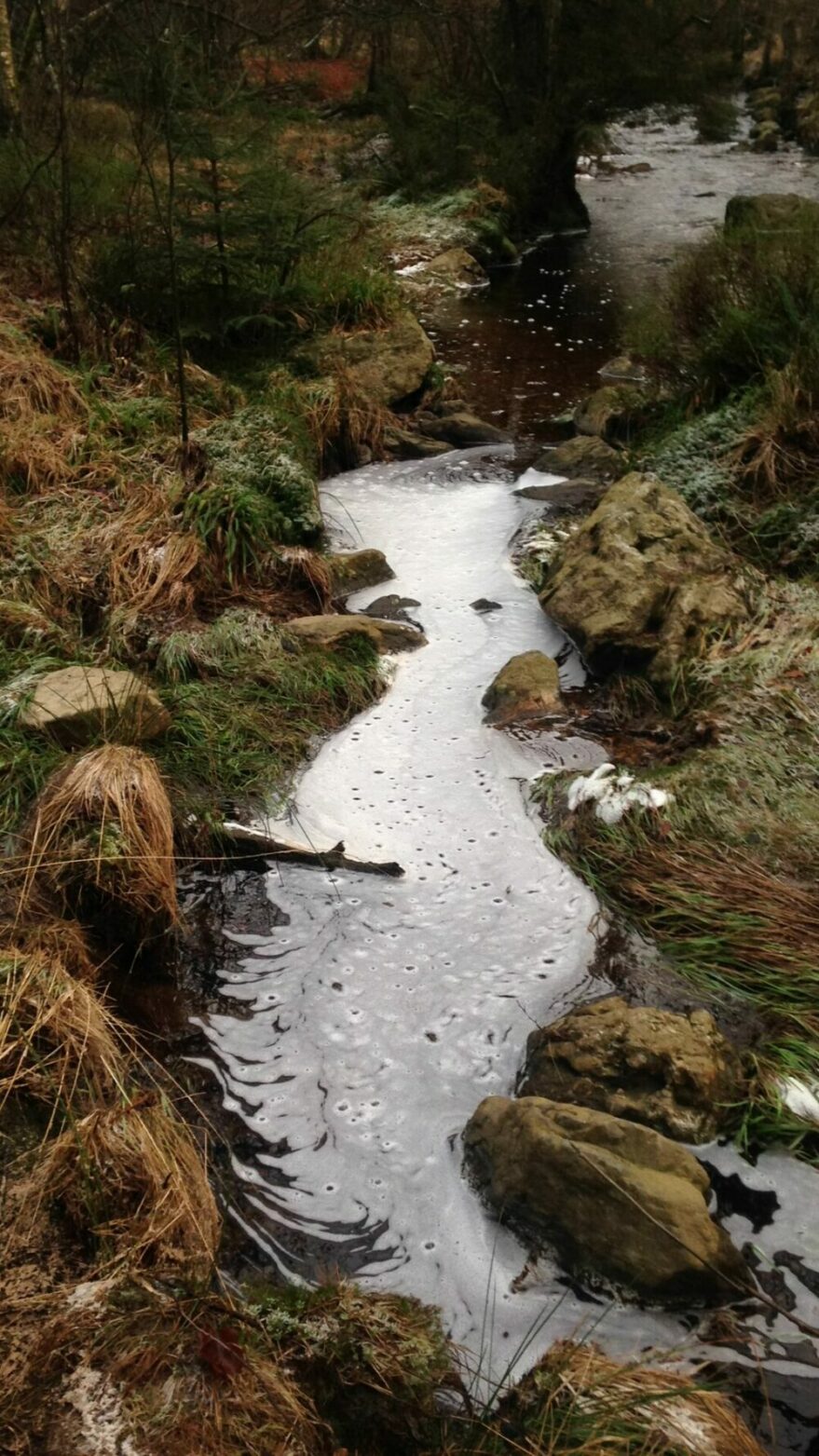 Randonnées-Balades-Promenades-Nature