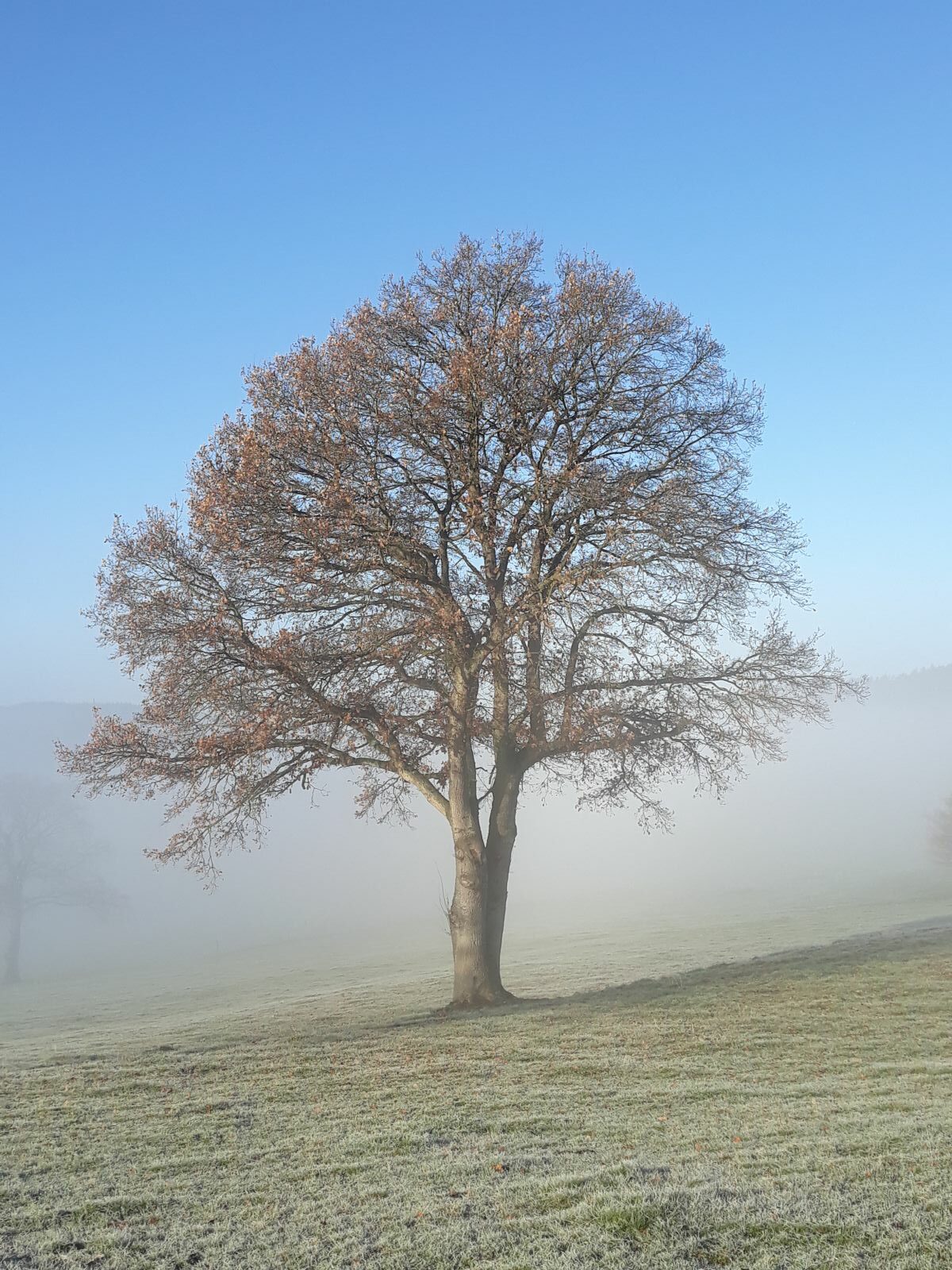 Ancrage - Alignement