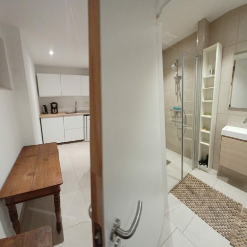Coin cuisine et salle de douche